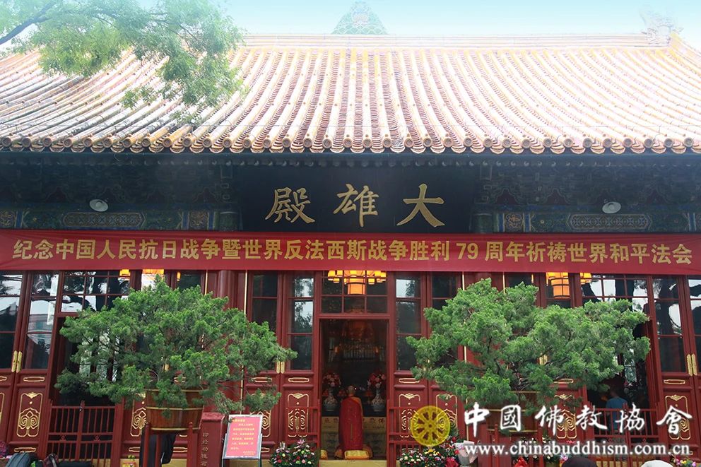 微信图片_20240906083943.jpg 微信图片_20240906083943.jpg
